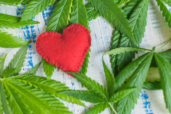 Can CBD help treat or prevent heart disease ?