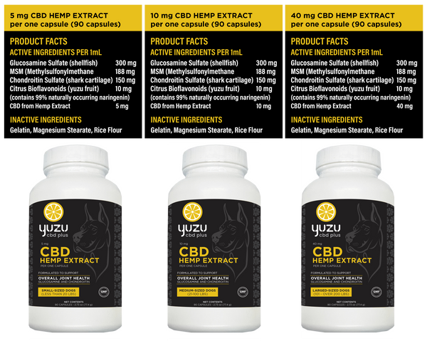 Khám Phá Mg 188 – Nền Tảng Đổi Mới Công Nghệ Hiện Đại